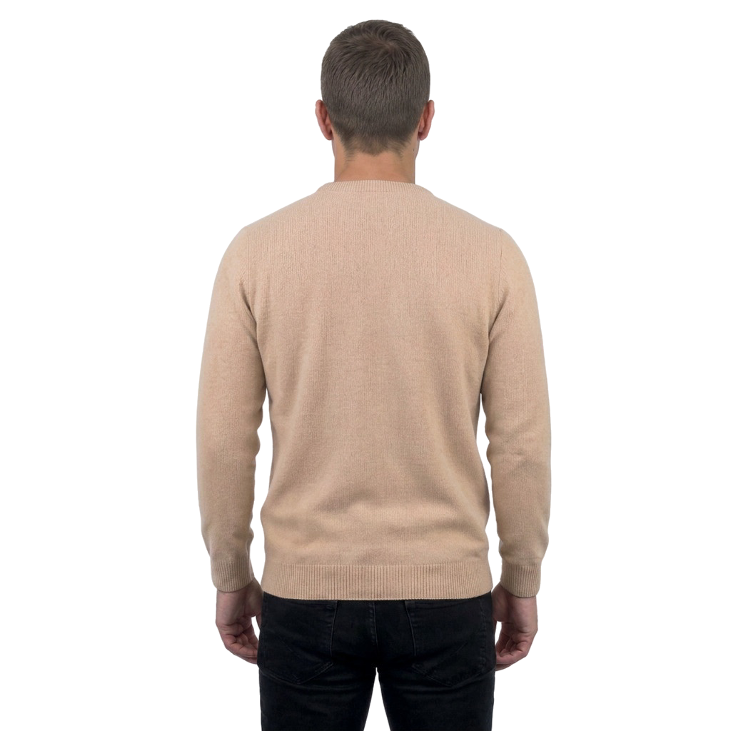 Pull col rond homme 100 % laine mérinos, coloris Bordeaux, vue 10 | Dalle Piane Cashmere
