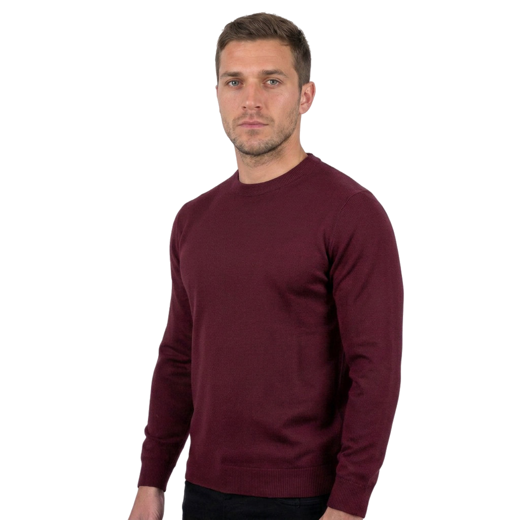 Pull col rond homme 100 % laine mérinos, coloris Bordeaux, vue 6 | Dalle Piane Cashmere