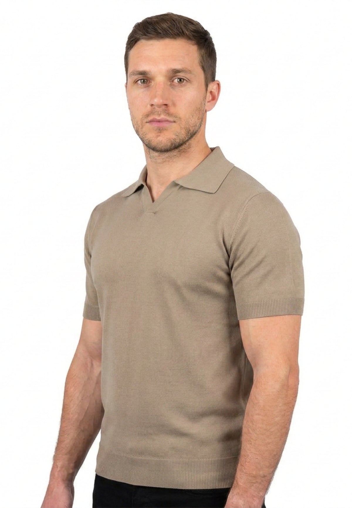Polo homme manches courtes 100 % coton, coloris Taupe, vue 2 | Dalle Piane Cashmere