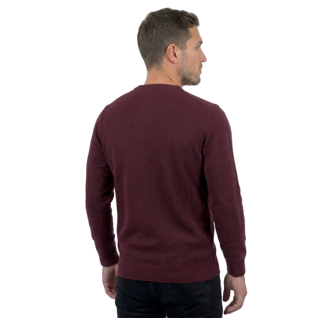 Pull col rond homme 100 % laine mérinos, coloris Bordeaux, vue 7 | Dalle Piane Cashmere